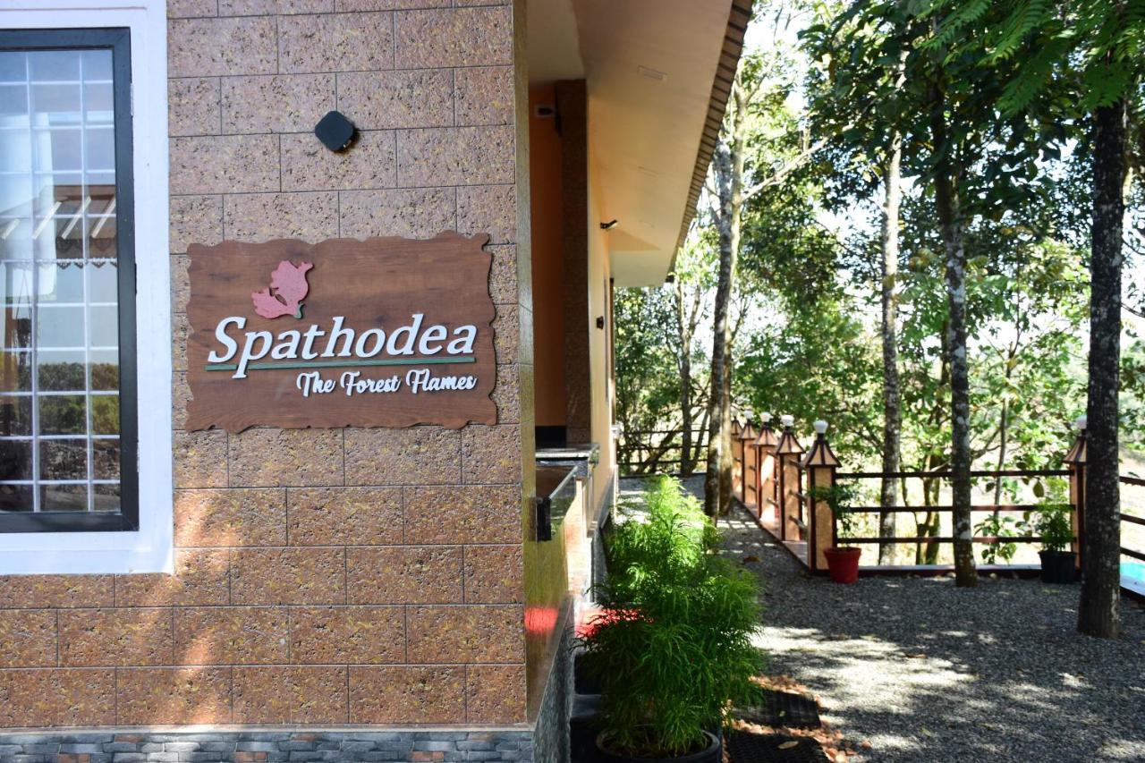 Spathodea Vagamon Exterior photo