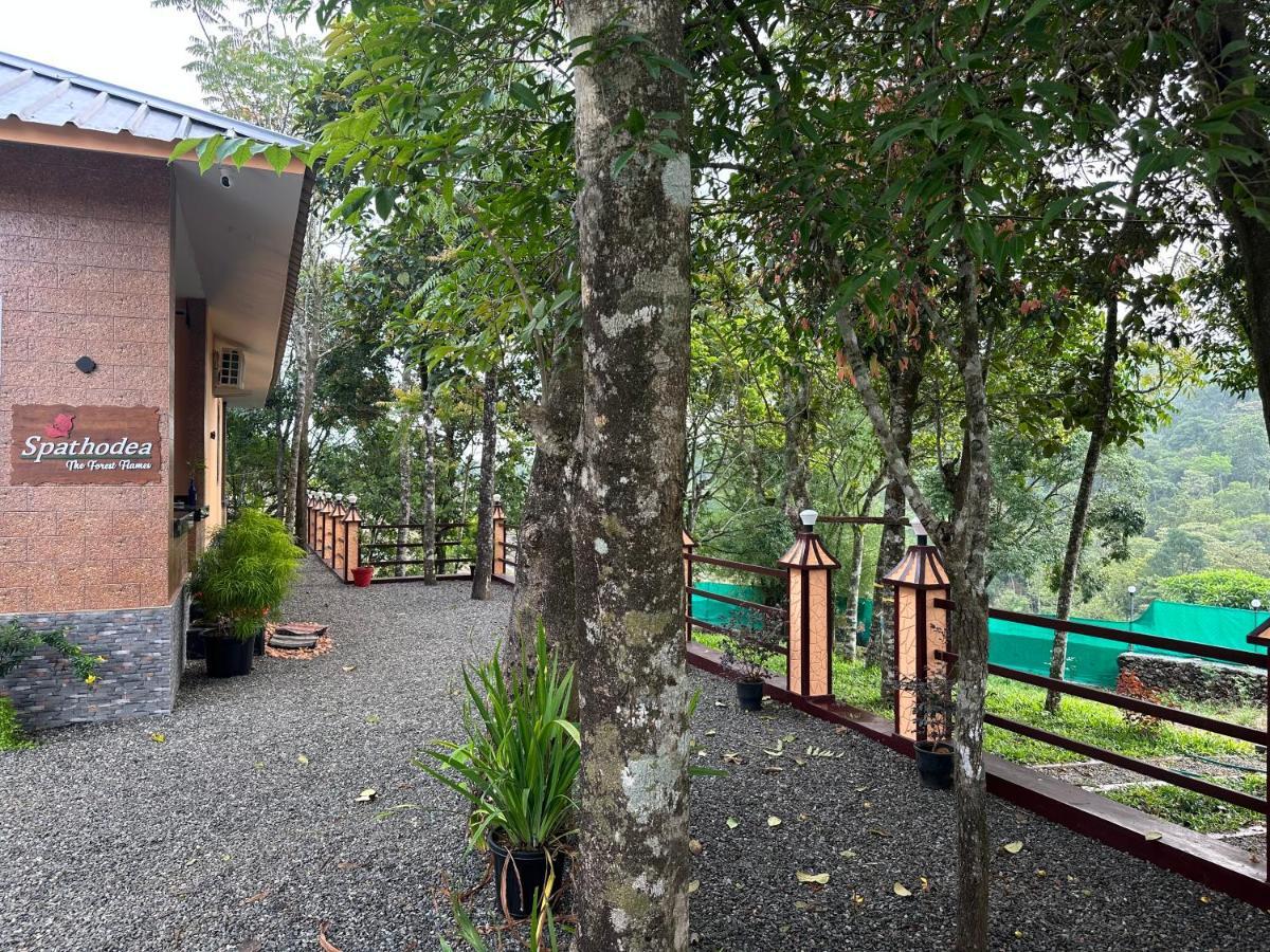 Spathodea Vagamon Exterior photo