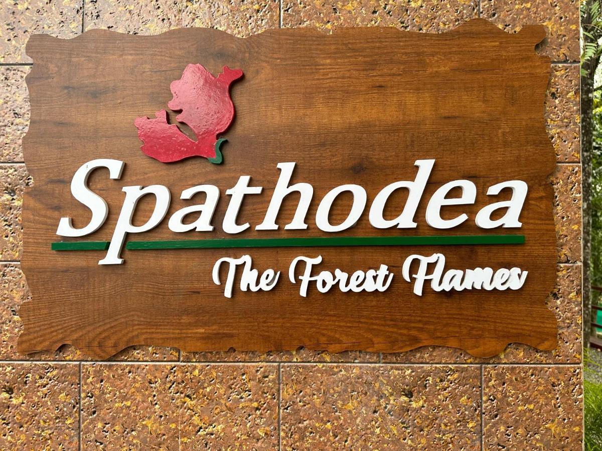 Spathodea Vagamon Exterior photo